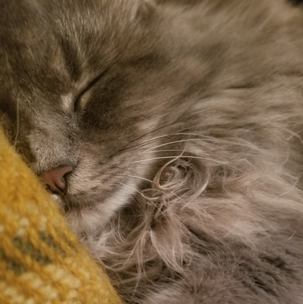 Meet your Posher, Jen